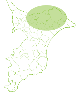 配布エリア